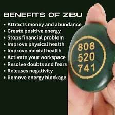 ZIBU COINS